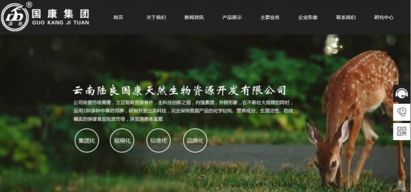 企業(yè)網(wǎng)站建設(shè)網(wǎng)站前臺設(shè)計(jì)